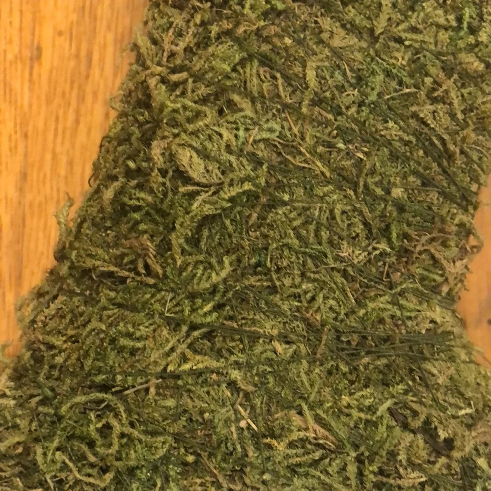 Faux Moss Letter A